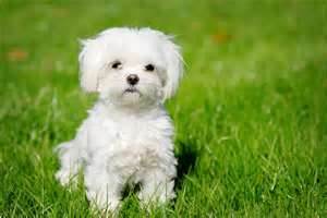Click here to go to my first page!