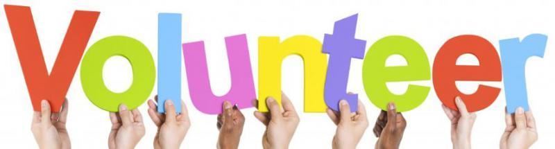  volunteer