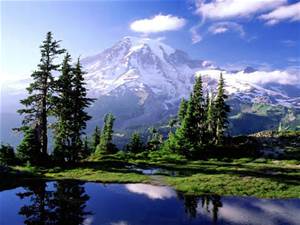 mt. rainier 