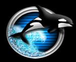 Hazelwood Orcas 