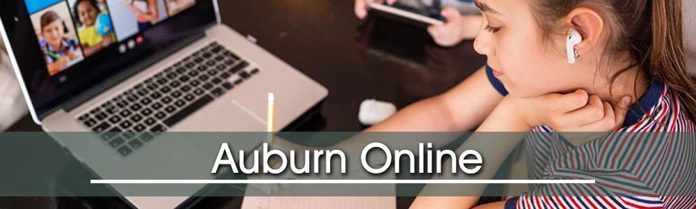 Auburn Online Web Banner - Girl working on laptop.