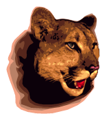 Cougar 